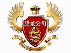 腾龙娱乐标识